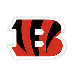 CIN logo